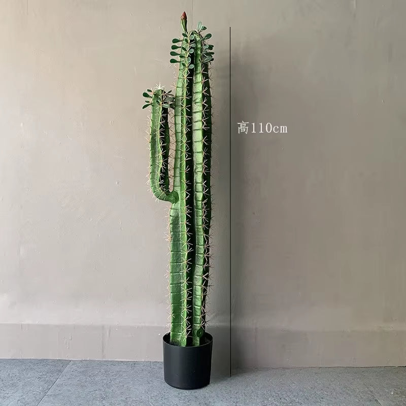 Simulated Green Plants, Fake Cactus, Cactus, Cactus, Large Indoor Window Layout, Landscaping, Simulated Plants