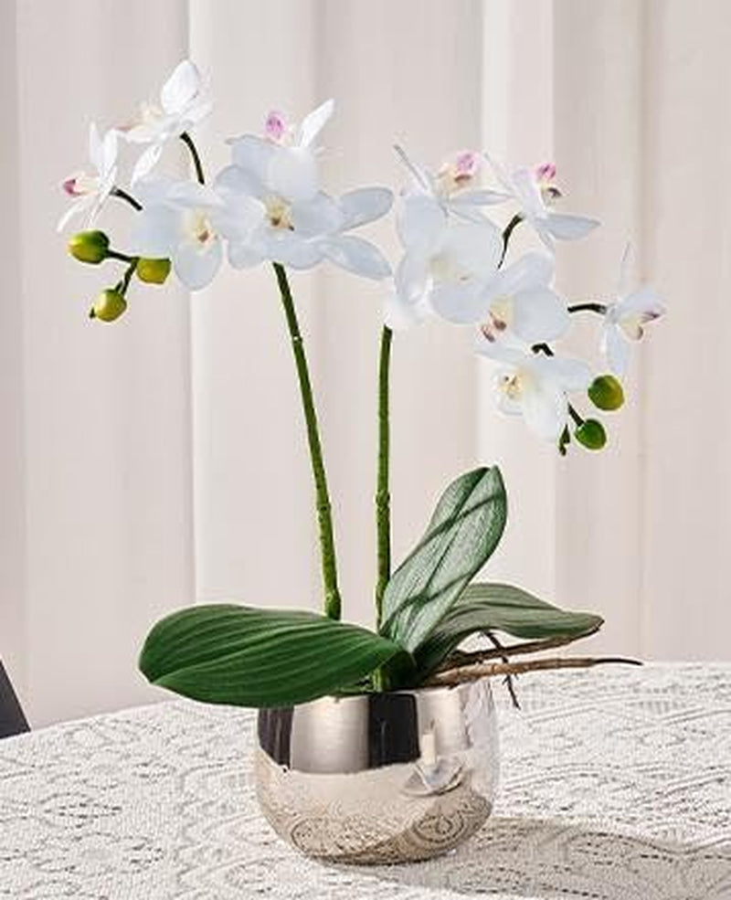Artificial Orchids in Pot, Real Touch, Artfully Crafted Phaleanopsis Bonsai, Faux Orchid, Fake Orchid Flowers White with a Silver Ceramic Vase, Perfect for Home, Office,Hotel Decor