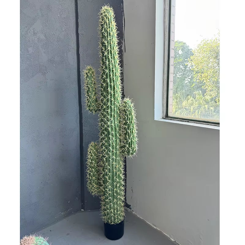 Simulated Green Plants, Fake Cactus, Cactus, Cactus, Large Indoor Window Layout, Landscaping, Simulated Plants