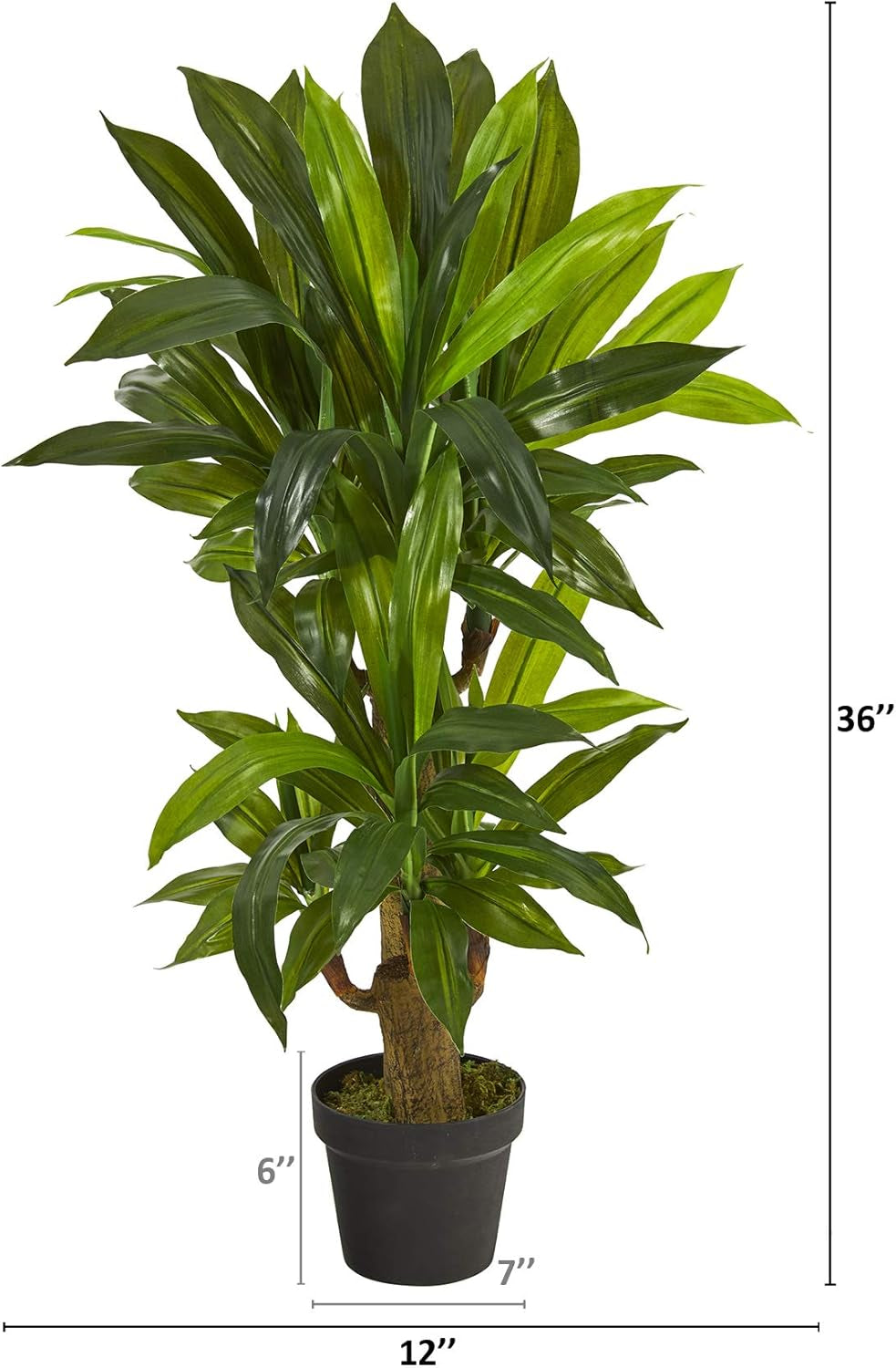 3Ft. Corn Stalk Dracaena Artificial Plant (Real Touch)
