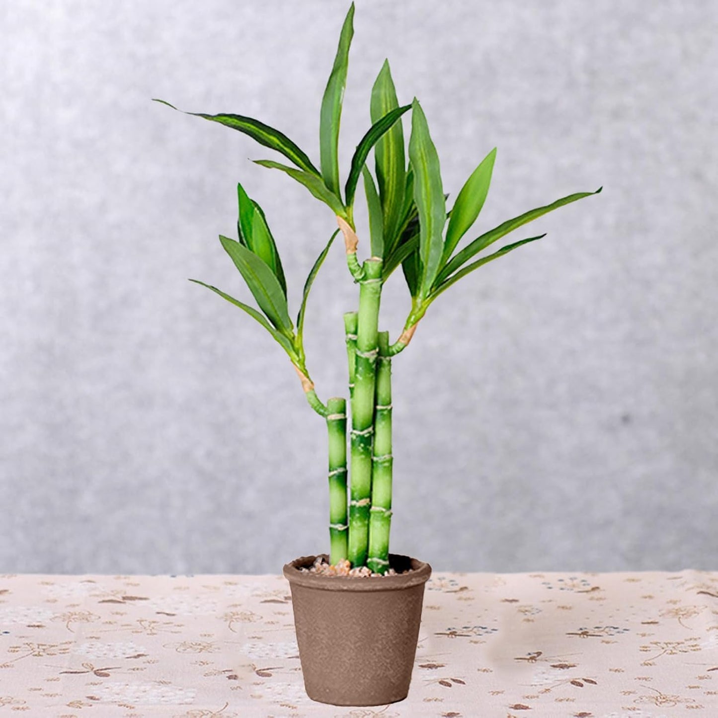 1 PC Lucky Bamboo, Fake Plants Artificial Green Simulation Plant Potted Home Office Hotel Lobby Decoration Green Plants Home Decoration Artificial Plants (17.72X3.54X3.54In)