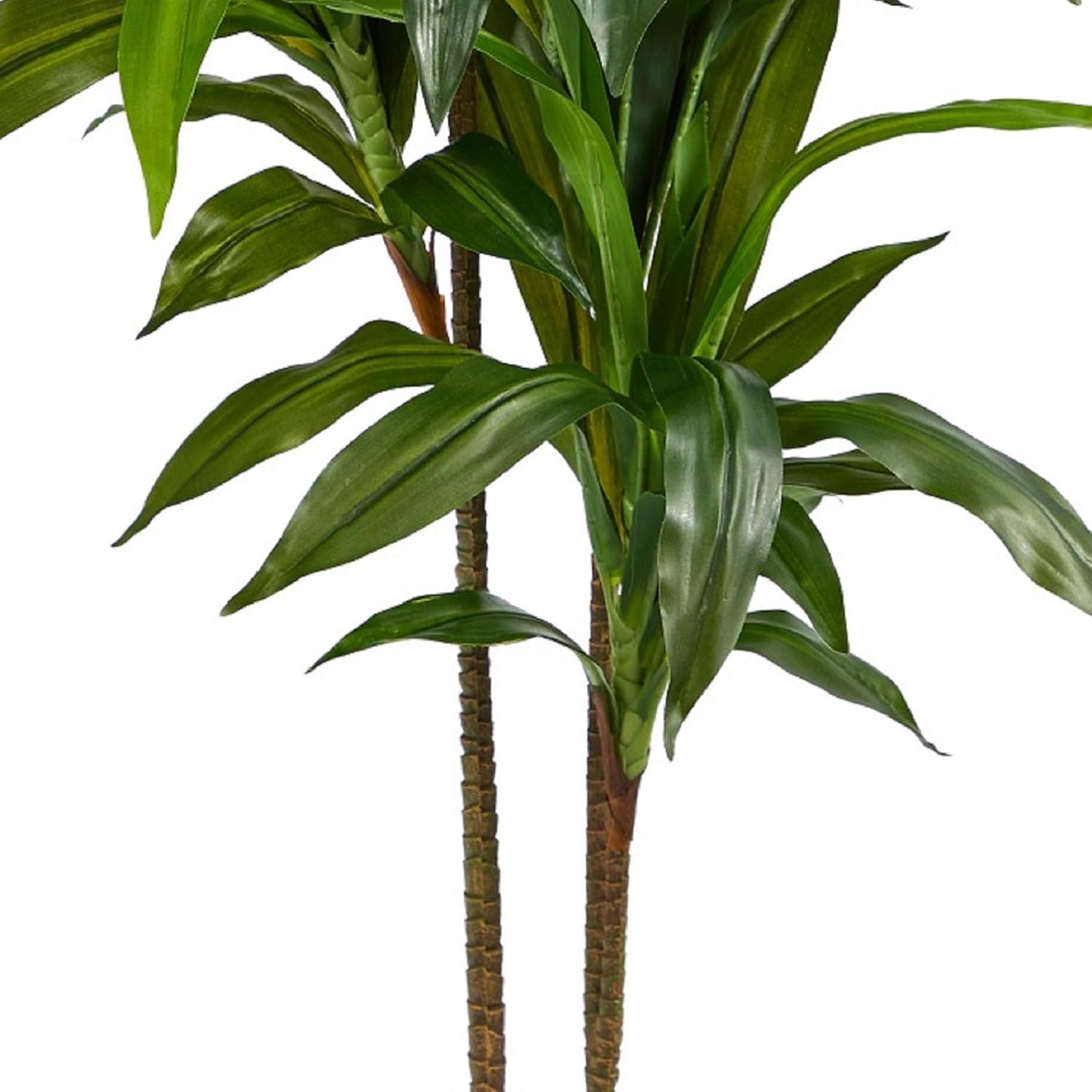 48" Dracaena Silk Plant (Real Touch) Green