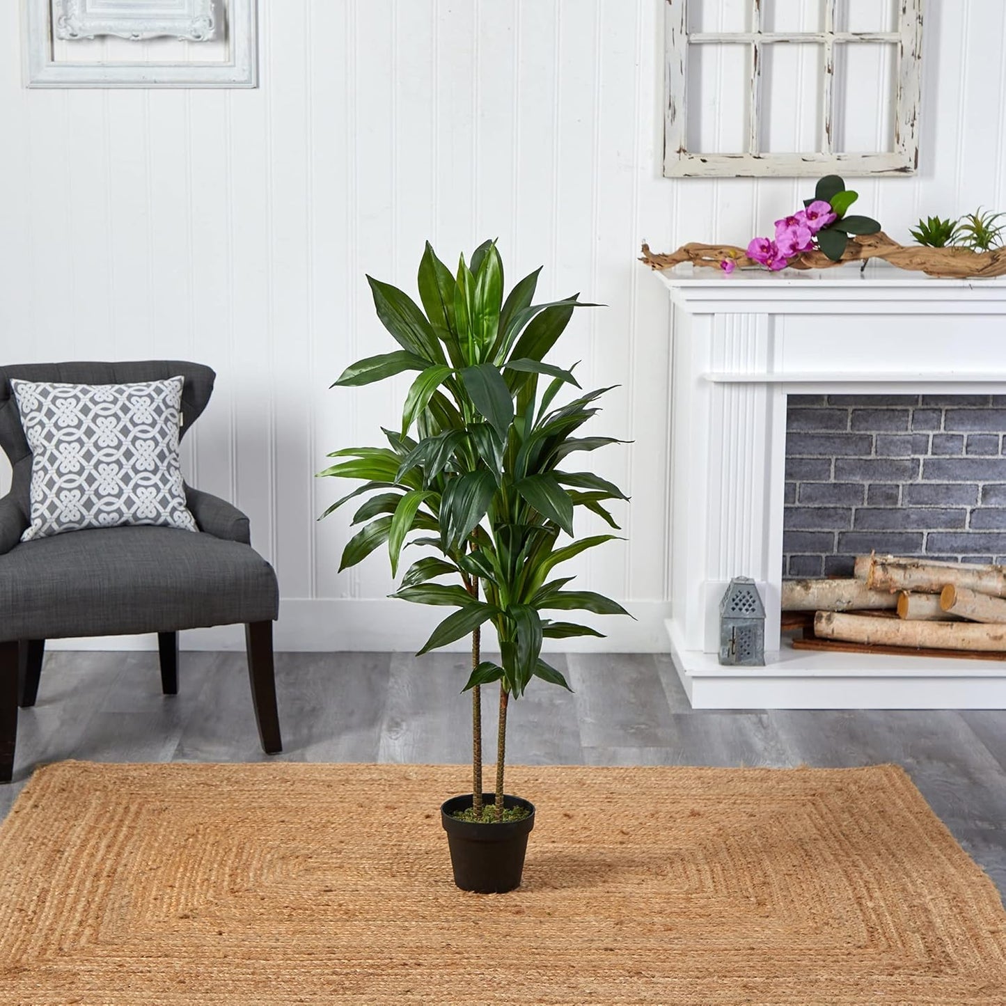 48" Dracaena Silk Plant (Real Touch) Green