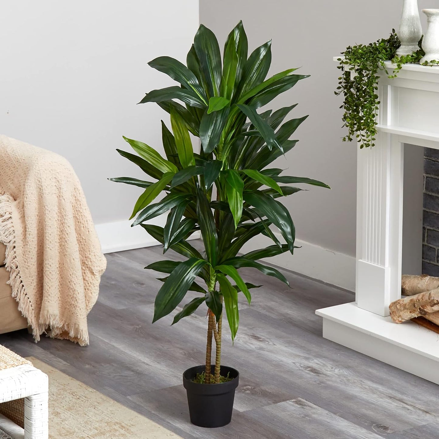 48" Dracaena Silk Plant (Real Touch) Green
