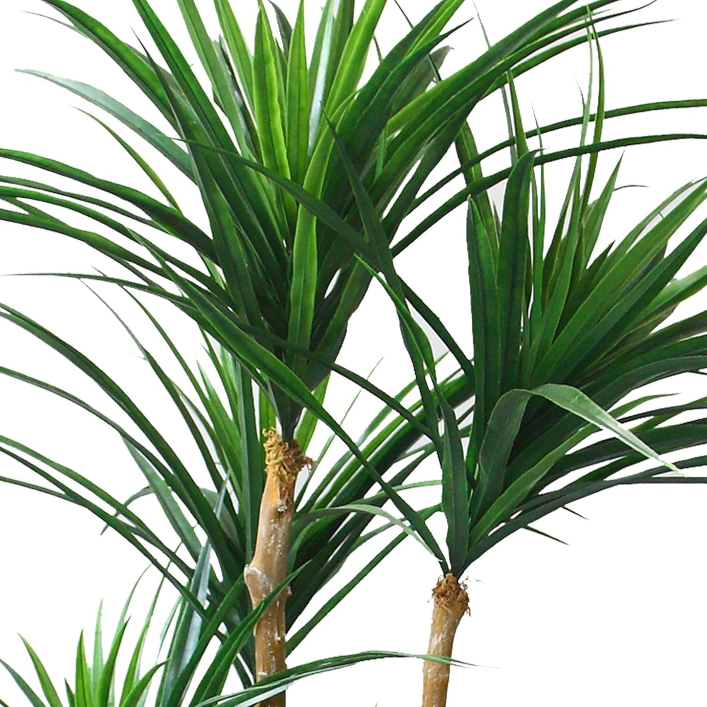 Artificial Tree - 51-Inch Tropical Yucca Plant with Rubber Leaves and Natural Trunk for Living Room, Bedroom and Office - Faux Plants