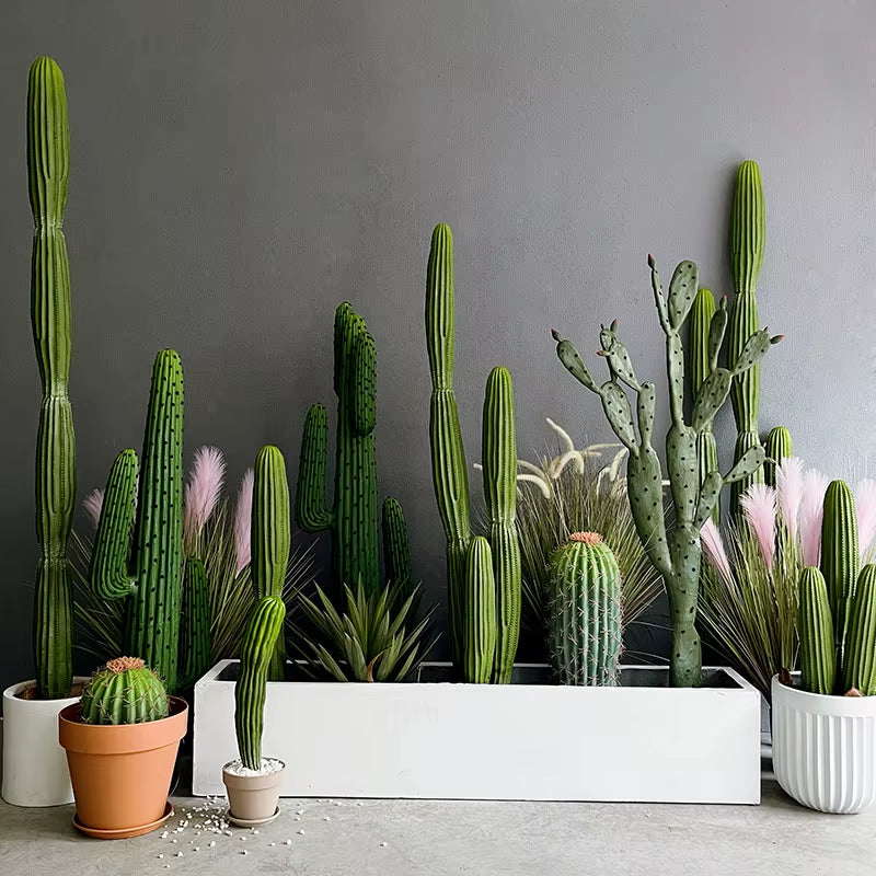 Simulated Green Plants, Fake Cactus, Cactus, Cactus, Large Indoor Window Layout, Landscaping, Simulated Plants