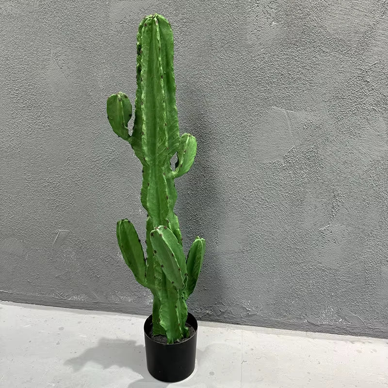 Simulated Green Plants, Fake Cactus, Cactus, Cactus, Large Indoor Window Layout, Landscaping, Simulated Plants