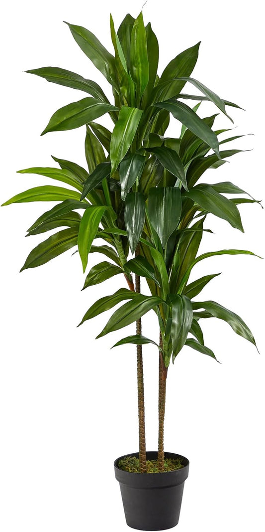 48" Dracaena Silk Plant (Real Touch) Green