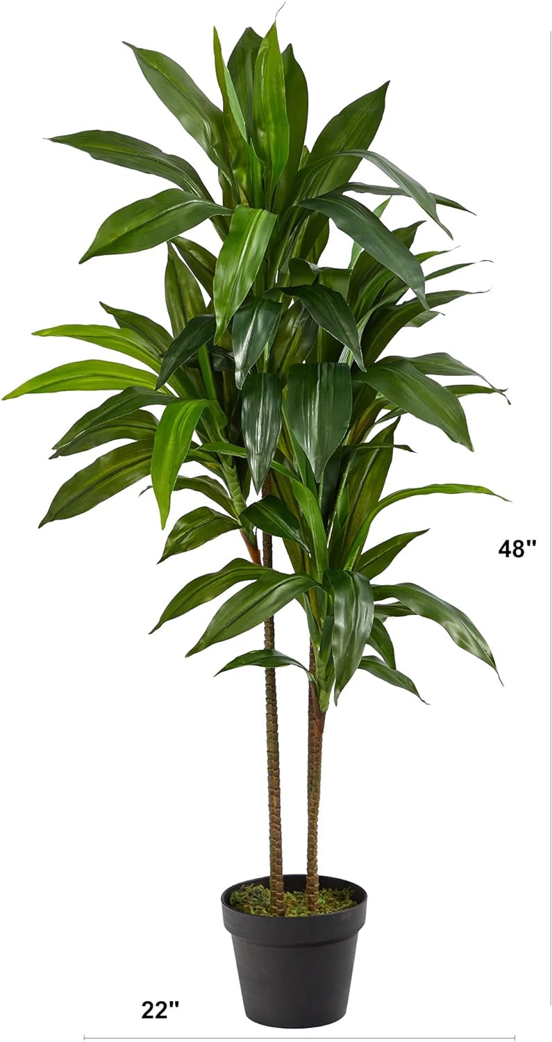 48" Dracaena Silk Plant (Real Touch) Green