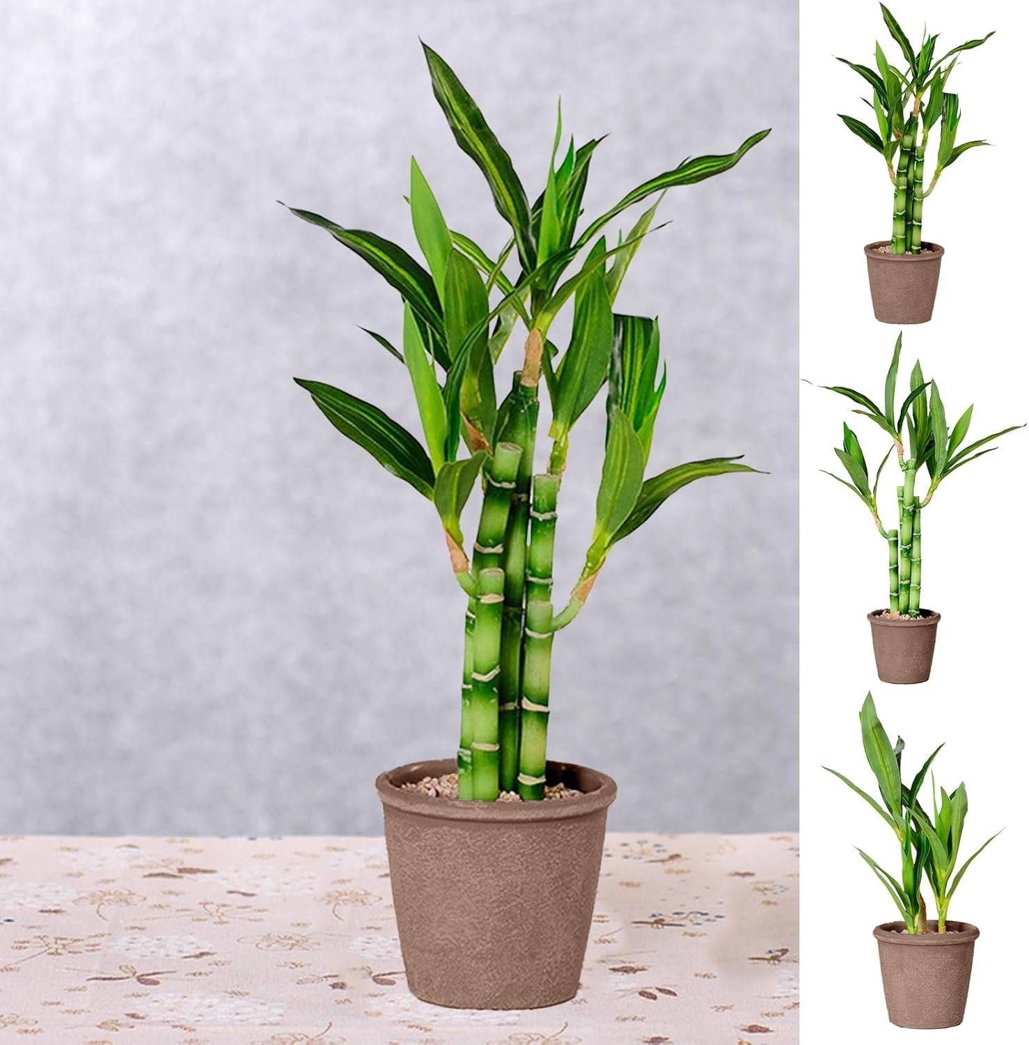 1 PC Lucky Bamboo, Fake Plants Artificial Green Simulation Plant Potted Home Office Hotel Lobby Decoration Green Plants Home Decoration Artificial Plants (17.72X3.54X3.54In)