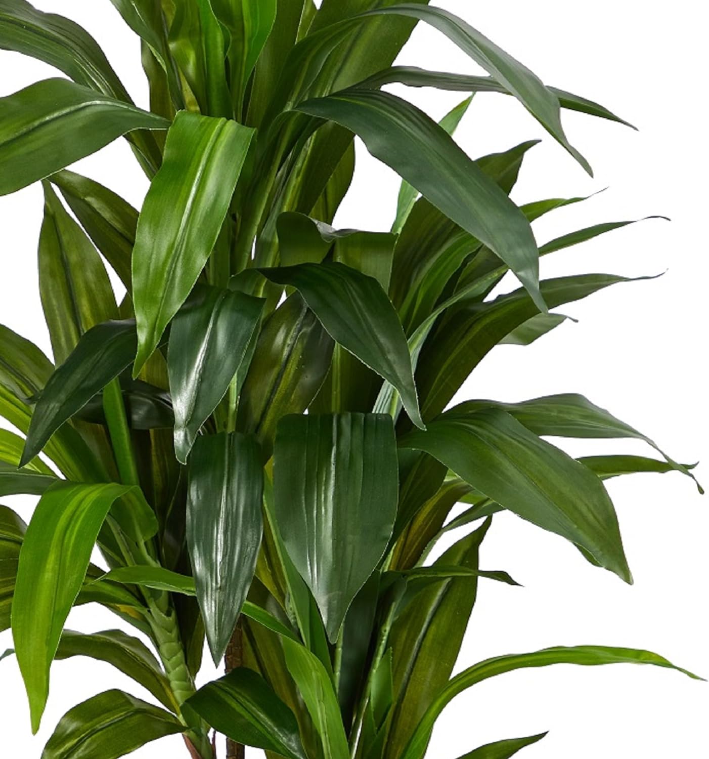 48" Dracaena Silk Plant (Real Touch) Green