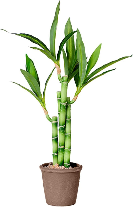1 PC Lucky Bamboo, Fake Plants Artificial Green Simulation Plant Potted Home Office Hotel Lobby Decoration Green Plants Home Decoration Artificial Plants (17.72X3.54X3.54In)